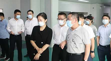 市委副书记、代市长盛蕾一行莅临公司视察调研